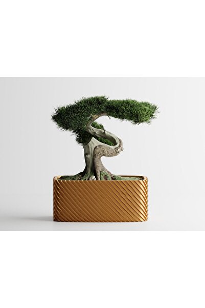 Sani Ghiveci decorativ Sani, Bonsai, mic 164 x 64 x 50 mm, Auriu