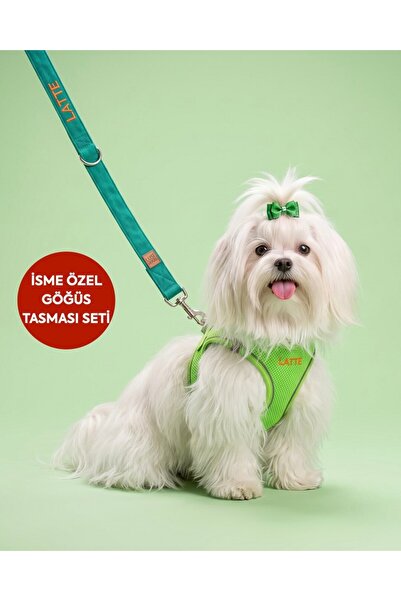 LUSİ-DOOG Kişiye Özel 2'li Köpek Tasma Seti İsimli Airmesh Köpek Göğüs Tasmas...