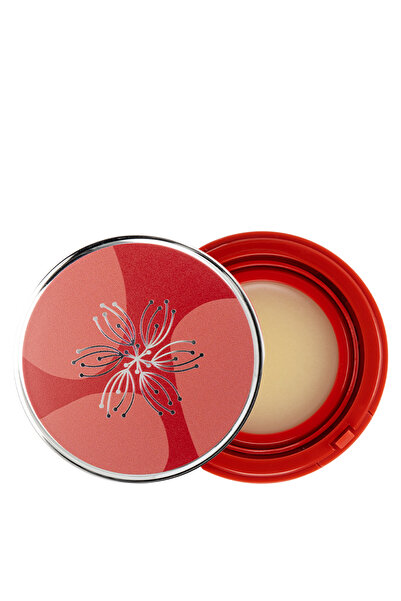 Natural Touch عطر ليدي صلب 20 مل