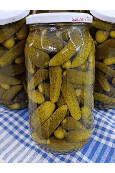 ZeytunixAkhisar Ev Yapımı Kornişon (Salatalık) Turşusu 1000 ml Cam Kavanoz
