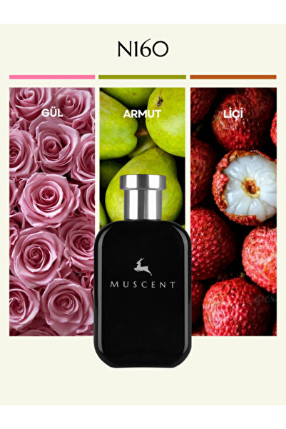 MUSCENT N160 Dellin Exc 50 ml.