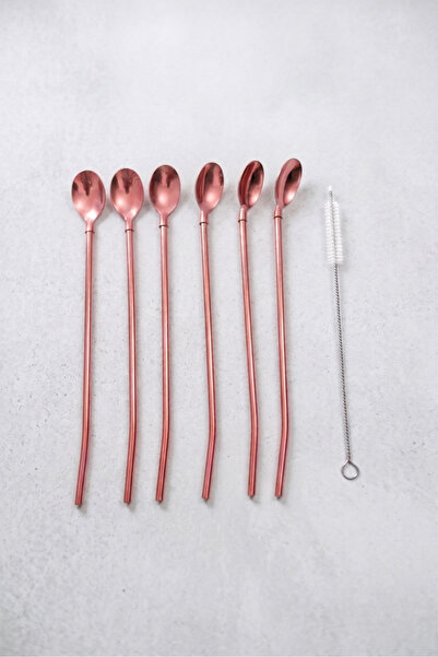 Elista 6-Piece Bronze Latte Spoon with Straw, Cocktail Spoon and Cleaning Bru...