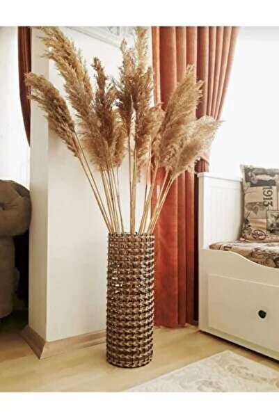 TROYA Doğal Pampas dekoratif ev iş 10 adet beyaz