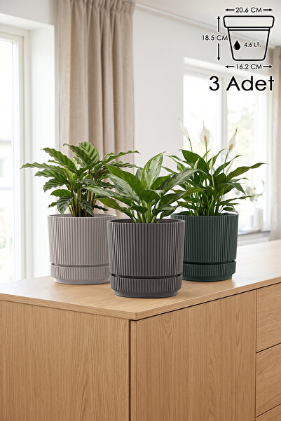 ToXA 3 Adet Pera Kare Saksı No4 4,6 Litre Çok Renkli 20,6cm Plastik Kendinden...