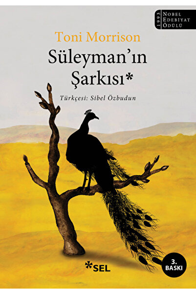 Sel Yayıncılık Süleyman'ın Şarkısı