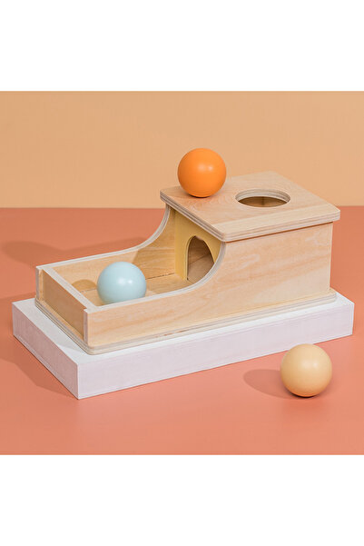 Choice 1 887 Montessori Wooden Toys 5 in 1 Object Permanence Box Ball Coin Dr...