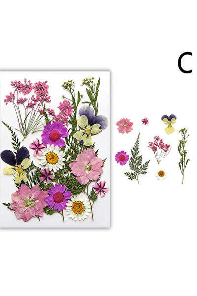 Choice15 C Dried Flowers Real Natural Plant Pressed Flower For Epoxy Resin Fi...
