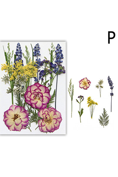 Choice P Dried Flowers Real Natural Plant Pressed Flower For Epoxy Resin Fill...