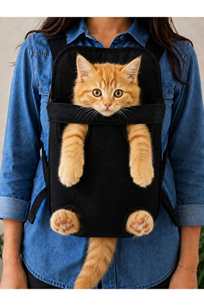 Senba Kedi ve Köpek Taşıma Çantası Kanguru Model Nefes Alabilen Ana Kucağı Pe...
