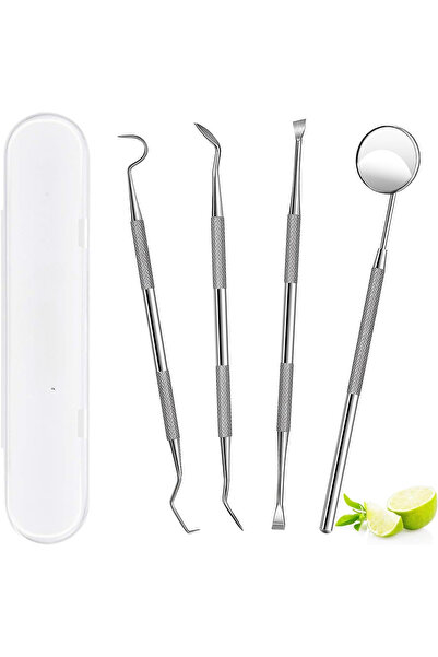 Choice 4pcs Professional Teeth Cleaning Oral Care Hygiene Kit, Stainless Stee...