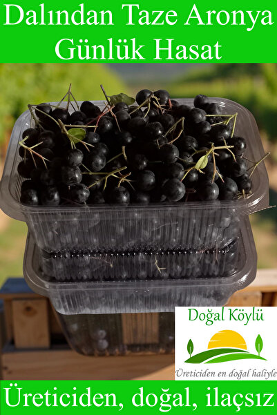 Doğal Köylü Dalından Taze Aronya Meyvesi 250gr - Üreticiden, Doğal, İlaçsız