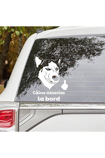OEM Sticker auto (15cm) - Caine neserios