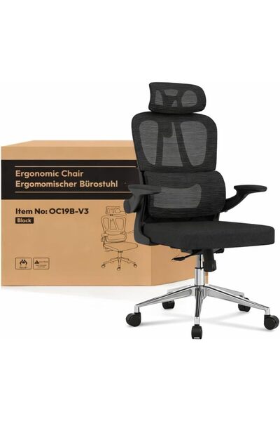 FLEXISPOT Ergonomic Office Chair with Adjustable Backrest, 2D Headrest and Lu...