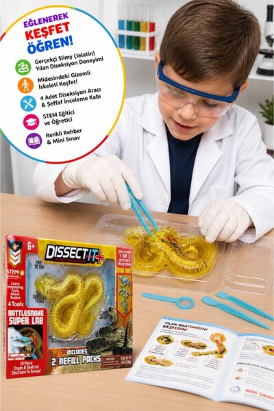TOYFEST STEM Slimy Yılan Diseksiyon Seti Rattlesnake Lab Çocuk Eğitici Oyunca...