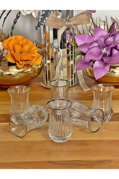 P&ORA PREMIUM KITCHEN PRODUCTS Original Echo 6-Piece Silver Mouthed Real Gilded Tea Cup, Gift, Dowry, Luxury