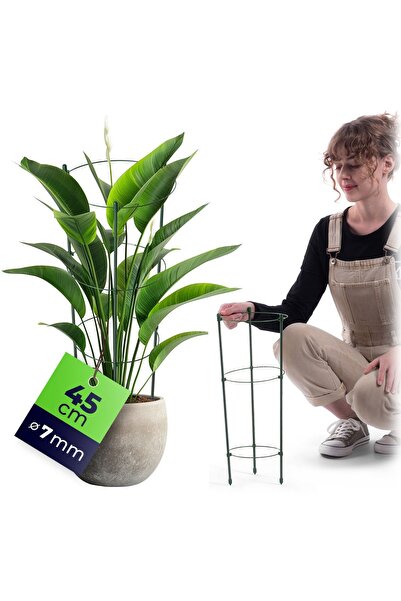 KADAX Suport inelar pentru plante și flori 45 cm, inele de susținere metalice