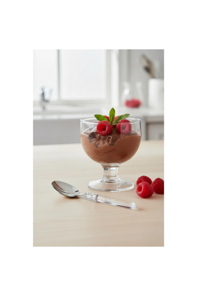 Hobibahçem Set of 6 Stainless Steel Transparent Dessert Spoons