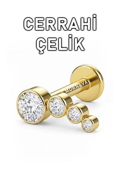 MORNEVA Cerrahi Çelik Büyükten Küçüğe Daire Taşlar Helix Conch Tragus Kulak P...