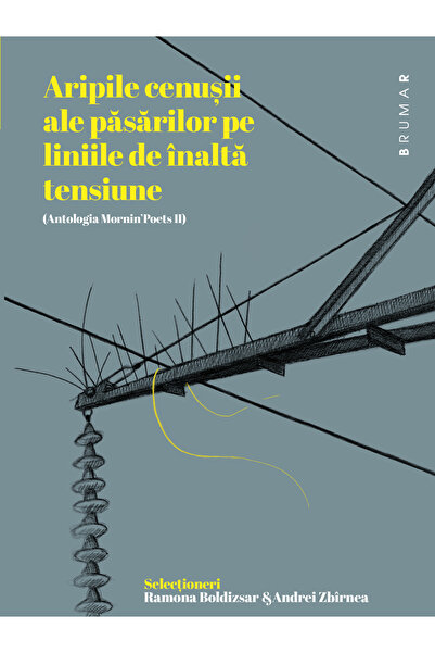 Editura Brumar Aripile cenușii ale păsărilor pe liniile de înaltă tensiune