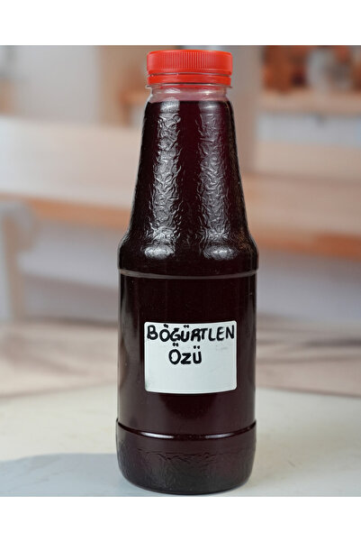 birgi köy evi Birgi Köyevi Doğal Böğürtlen Özü 1300 gr