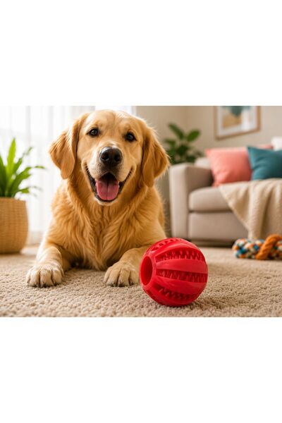 Dog Interactive toy for dogs,