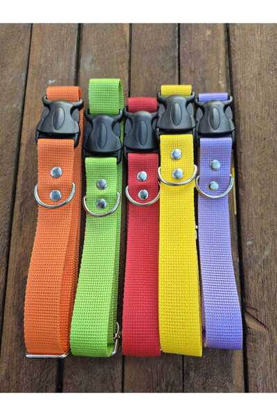 Loyal Friend Store KÖPEK BOYUN TASMA (45-60CM)