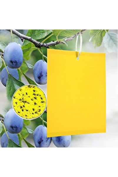 Choice 50pcs Sticky Insect Board Powerful Flycatcher Yellow Blue Sticker Shee...