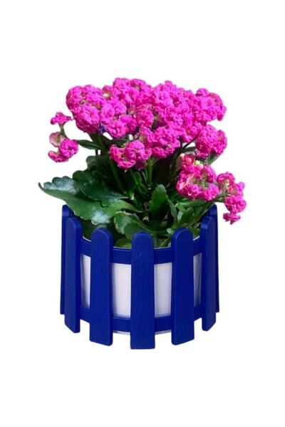 NIOVEL Саксия за балконска решетка 3л синя, 21см x 17см