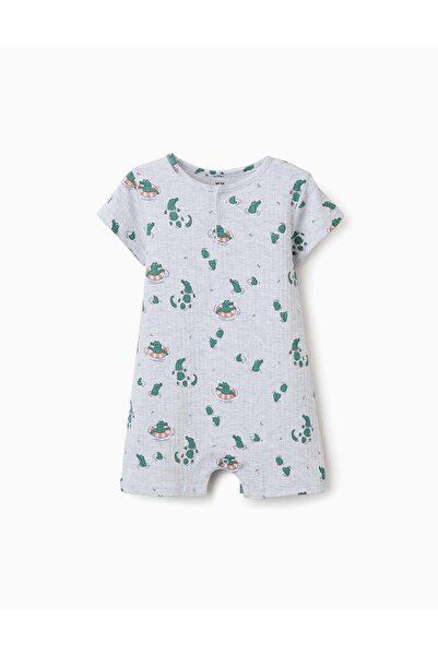 Ziddy Ribbed Romper With Alligator Motif For Newborn And Baby Boys Grey