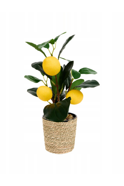 Evendi Artificial plant, Mix Colors
