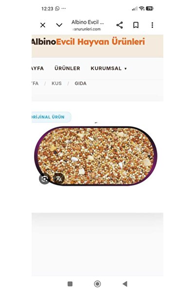 Açık karışık kuş yemi 1KG