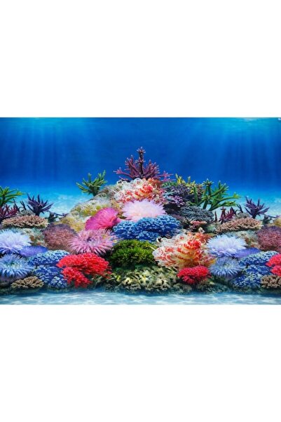 OEM Fundal acvariu dublu-fata, recif marin/plantat peisagistic, 28x50 cm