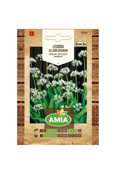 Amia Seminte de leurda, Allium ursinum