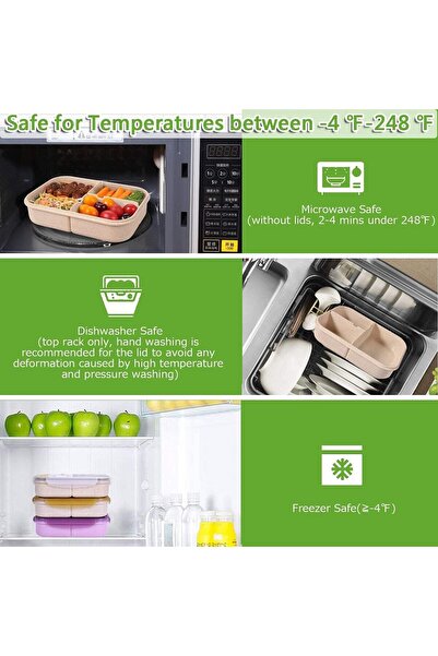 BPA Silk Route - Bento Box for Adults, Lunch Containers for Kids, 3 Compartme...