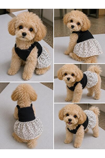 Berliva Home Black and White Cat-Dog Skirt with Straps - Floral Mini Pet Dress