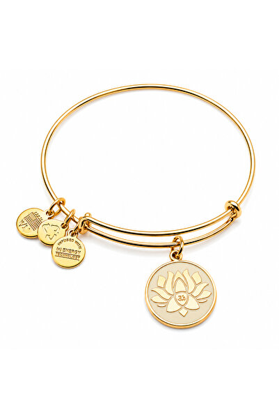 Alex and Ani Bratara Metal A14EB54YG