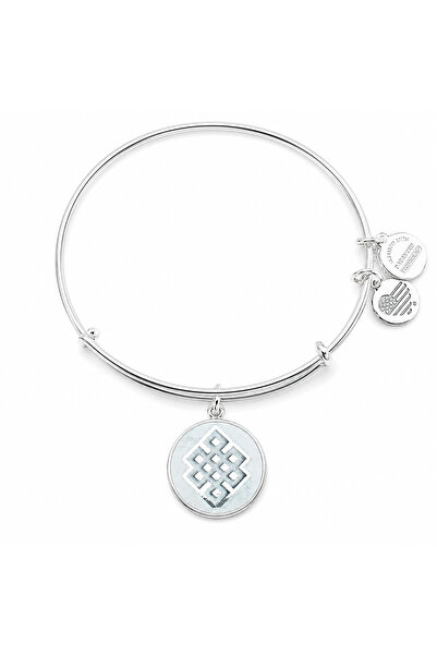 Alex and Ani Bratara Metal A16EBEKSS