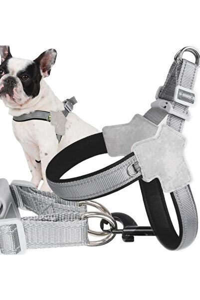 zola Adjustable harness for dogs, size L, adjustable, leash hook, buckle fast...