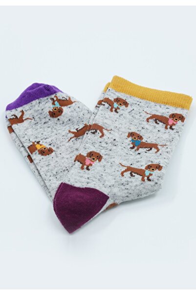 Serena Women's organic seamless socks with puppies