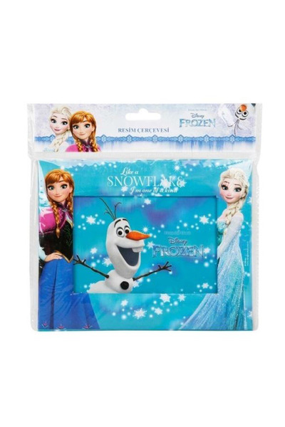 Disney Frozen Picture frame