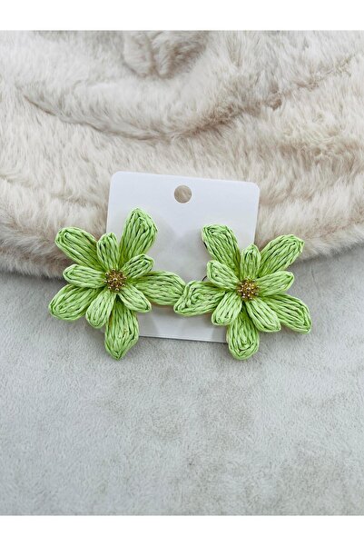 Bozhi Earrings Metal Luminous Style