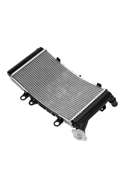 EVO MOTORS Radiator BMW F750GS F850GS F850GS Adventure 2019 2023 racire apa