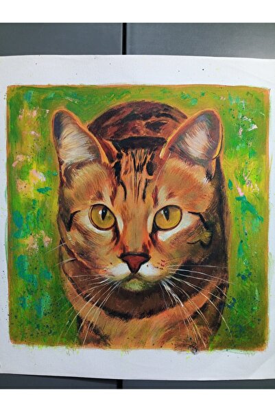 Tarçın ve Yeşil Orijinal El Yapımı Gerçek Yağlıboya Kedi Tablo 40x40 cm