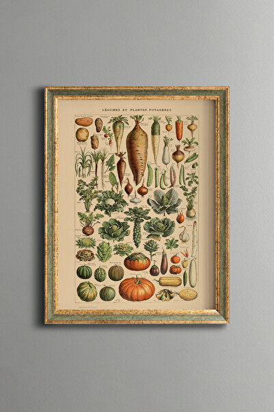epiqart Botanik Sebze Koleksiyonu - Vintage Desenli Çerçeve - İnce Model