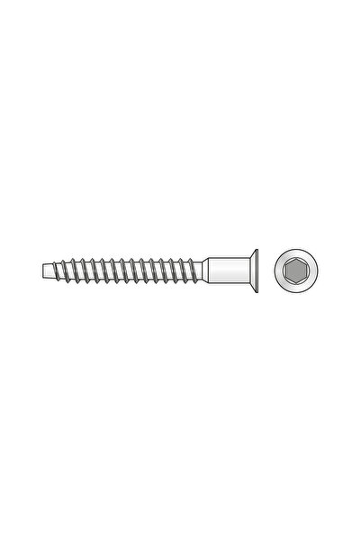 Rocast Set 100 x Holsurub de Cuplare Cap Tesit Otel Zincat-7x60 SW4