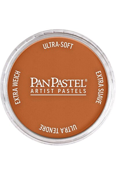 Panpastel Artist Pastel Paint 740.5 Burnt Sienna