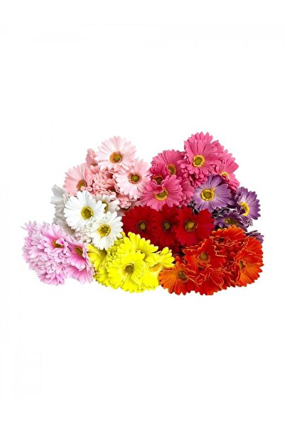 OEM Flori Artificiale Gerbera Fir 10/Set Lila