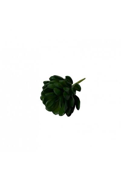 OEM Plante Suculente Grasa Verde Inchis (Set 3 buc)