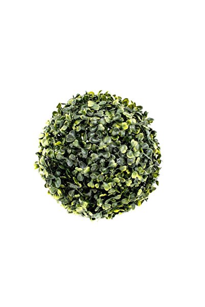 OEM Bile Verdeata Buxus 28 Cm