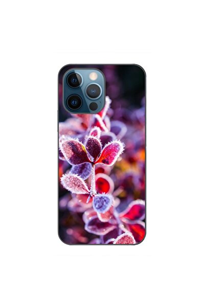OEM Husa compatibila cu Apple iPhone 12 Pro Silicon Gel Tpu Model Flori Inghe...